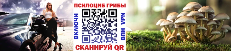 Псилоцибиновые грибы Psilocybe  Отрадный 