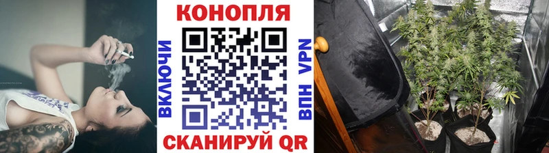 Шишки марихуана гибрид  Отрадный 